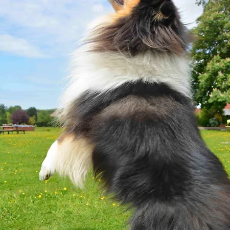 Гостевой дом L'horizon De La Cote D'opale